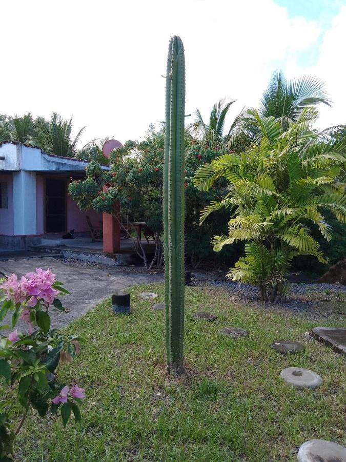 Hostel Rancho Tranquillo Moyogalpa Zewnętrze zdjęcie