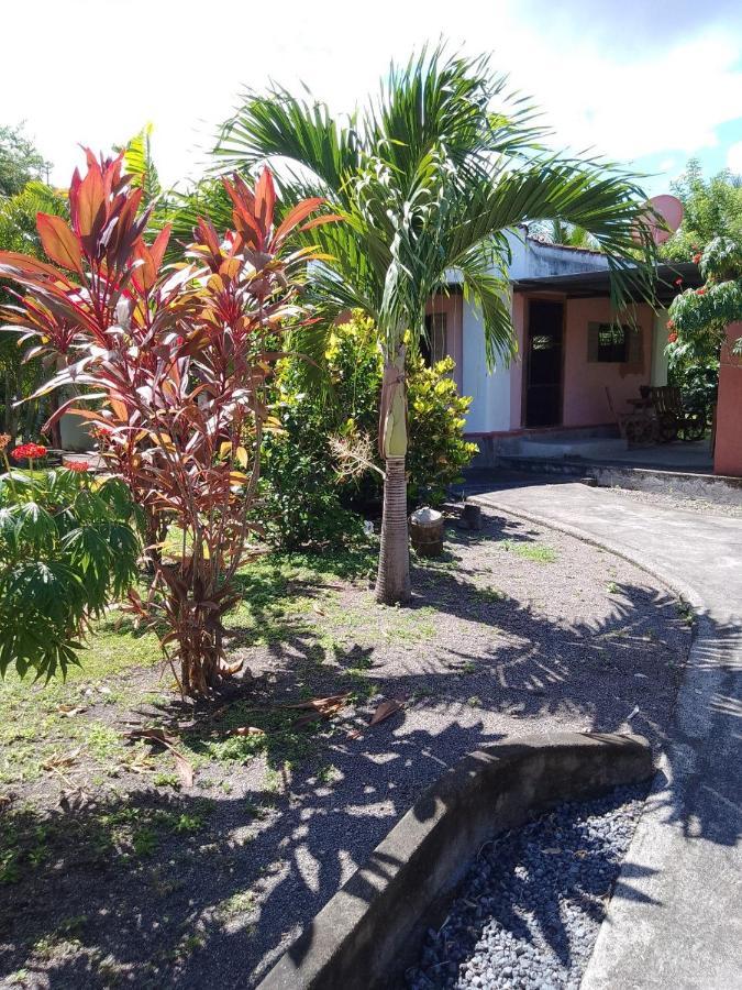 Hostel Rancho Tranquillo Moyogalpa Zewnętrze zdjęcie
