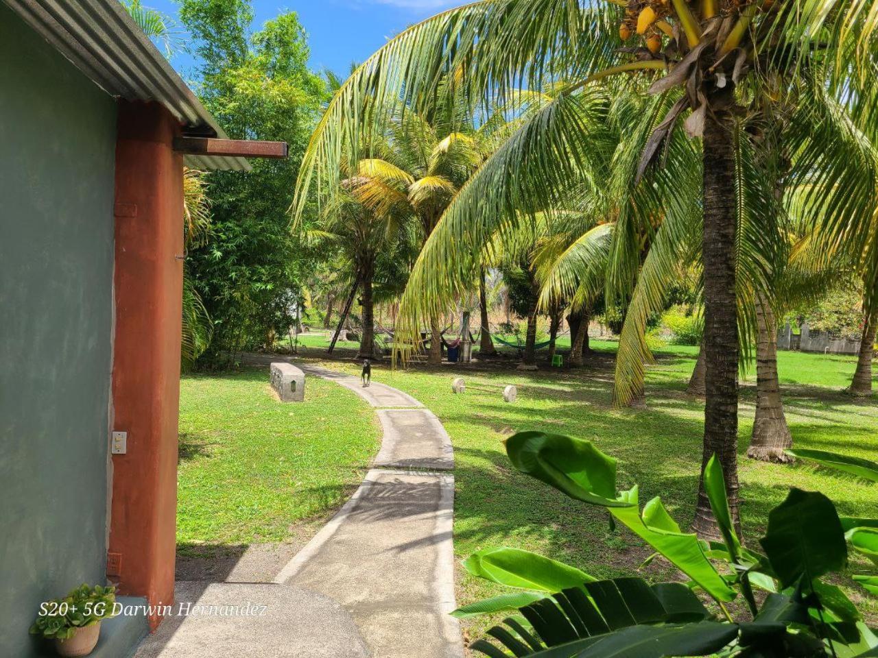 Hostel Rancho Tranquillo Moyogalpa Zewnętrze zdjęcie