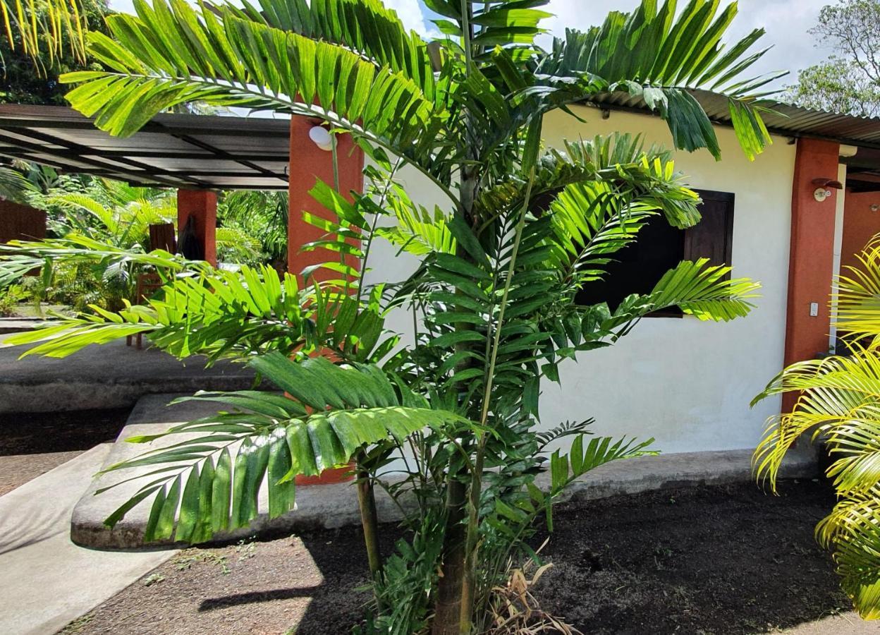 Hostel Rancho Tranquillo Moyogalpa Zewnętrze zdjęcie